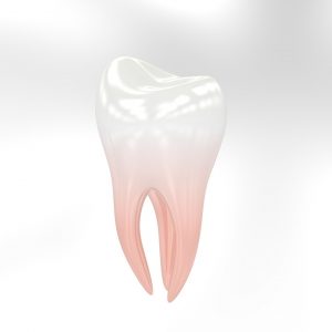 cos'è l'endonzia - dentista pescara